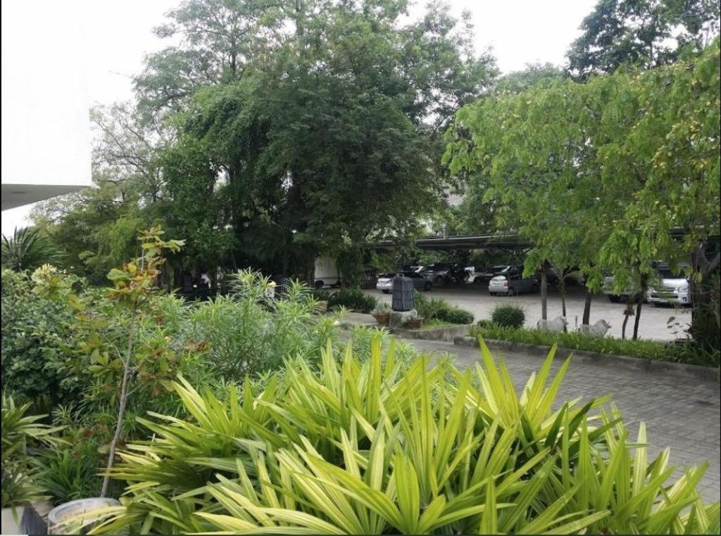 The Park Hotel Pattaya Εξωτερικό φωτογραφία